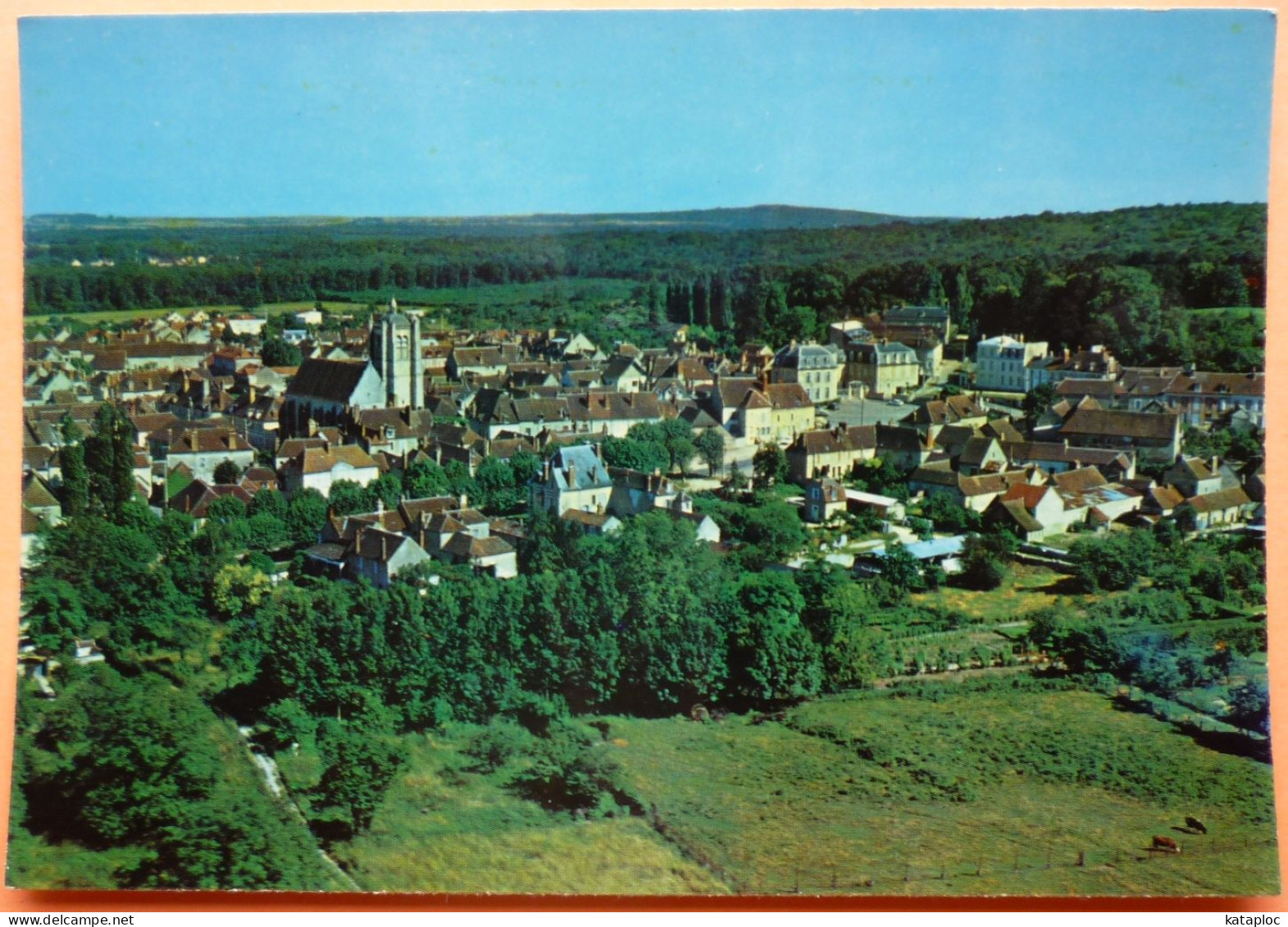 CARTE SEIGNELAY - 89 - VUE AERIENNE -SCAN RECTO/VERSO -10 - Saint Sauveur En Puisaye