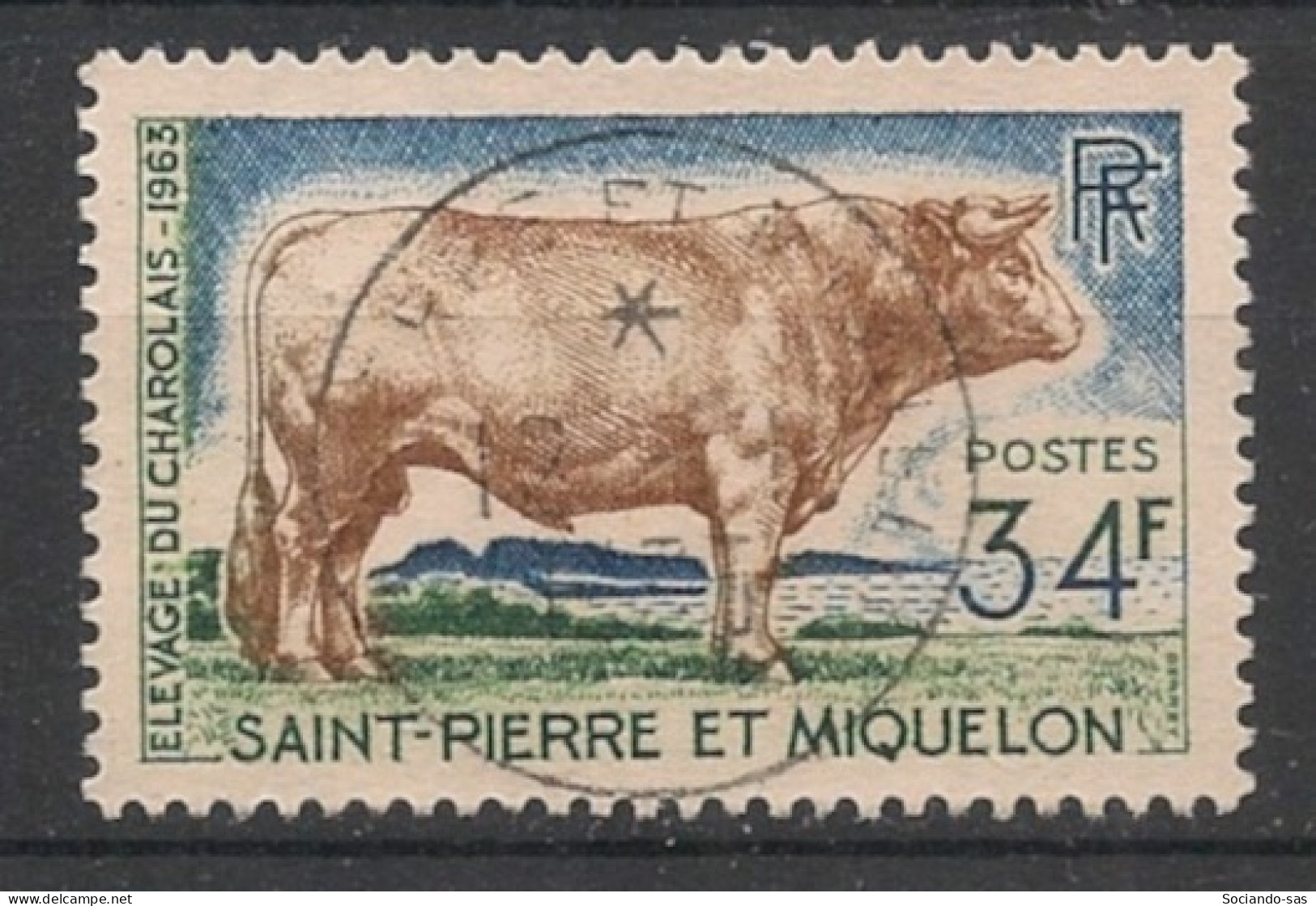 SPM - 1964 - N°YT. 375 - Boeuf Charolais 34f - Oblitéré / Used - Usados