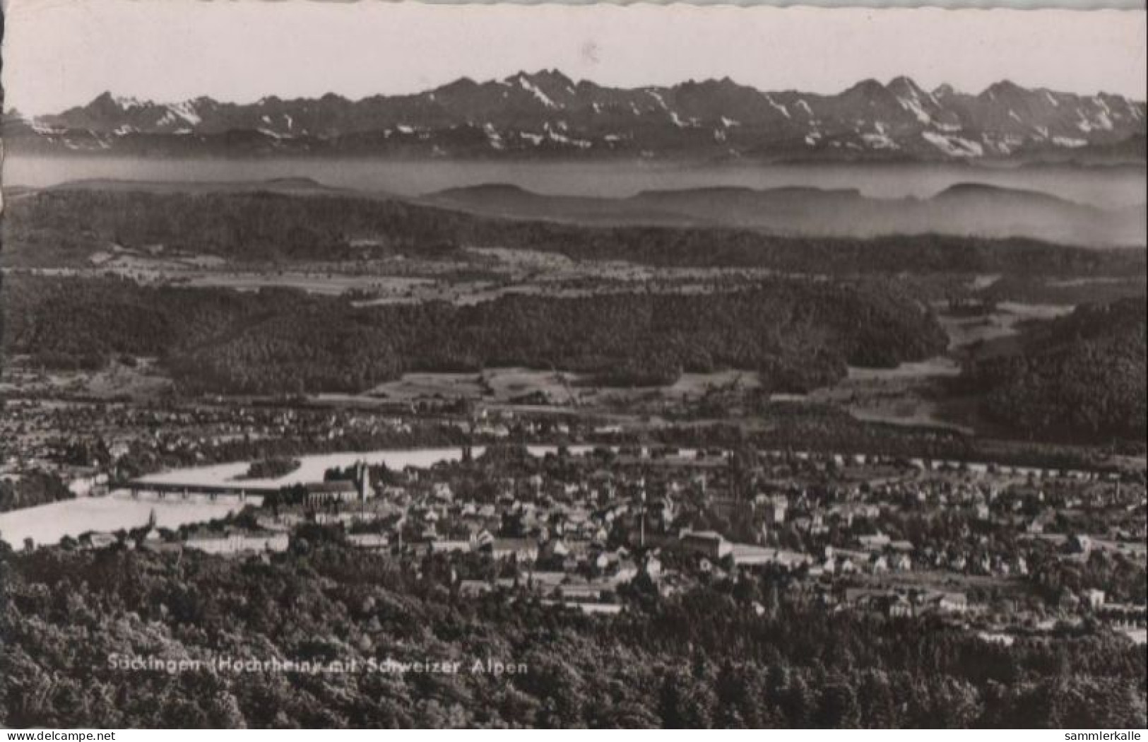 62088 - Bad Säckingen - Mit Schweizer Alpen - 1959 - Bad Saeckingen