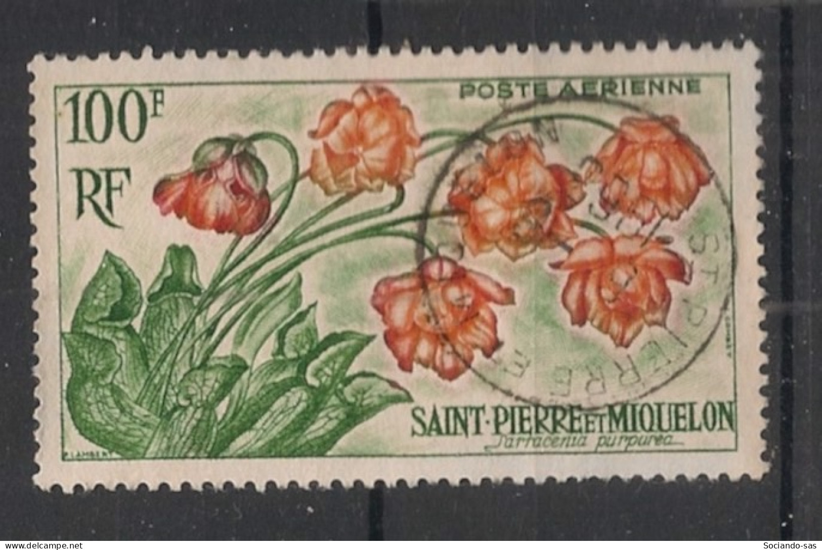 SPM - 1962 - Poste Aérienne PA N°YT. 27 - Fleurs - Oblitéré / Used - Usati