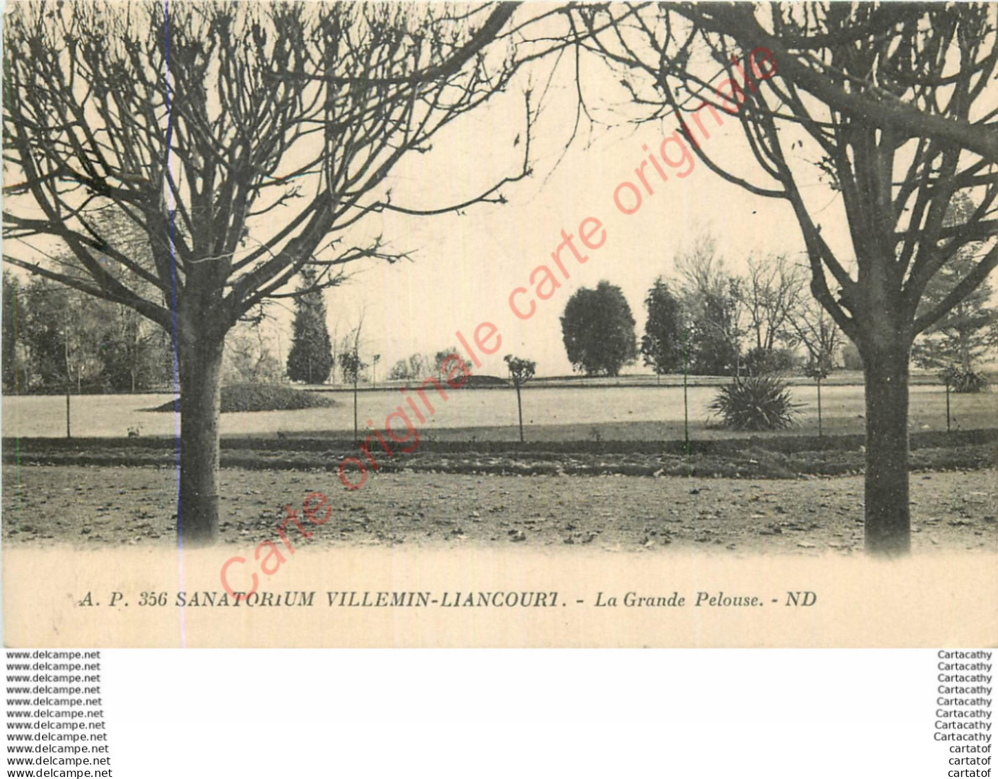 60.  Sanatorium VILLEMIN LIANCOURT .  La Grande Pelouse . - Liancourt
