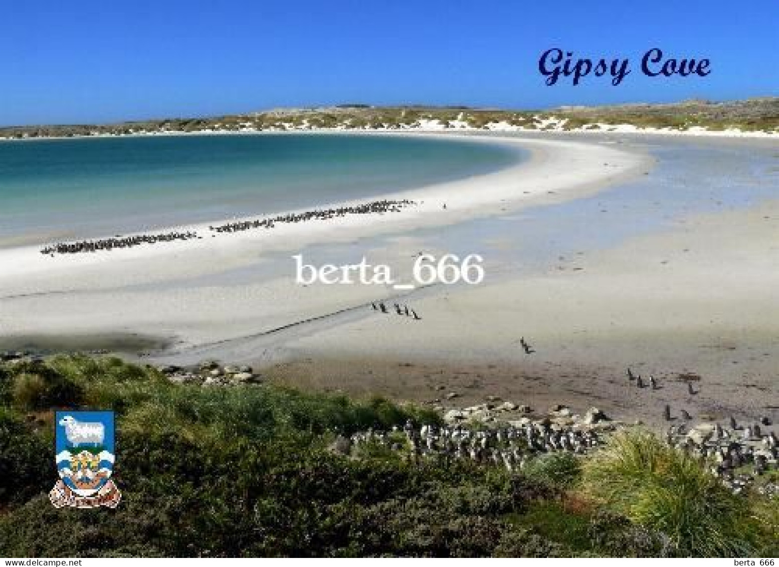 Falklands Islands Gipsy Cove New Postcard - Falklandeilanden