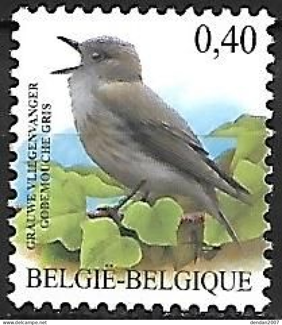 Belgium - MNH ** BUZIN - 2004 : Grauwe Vliegevanger - Spotted Flycatcher  -  Muscicapa Striata - Zangvogels