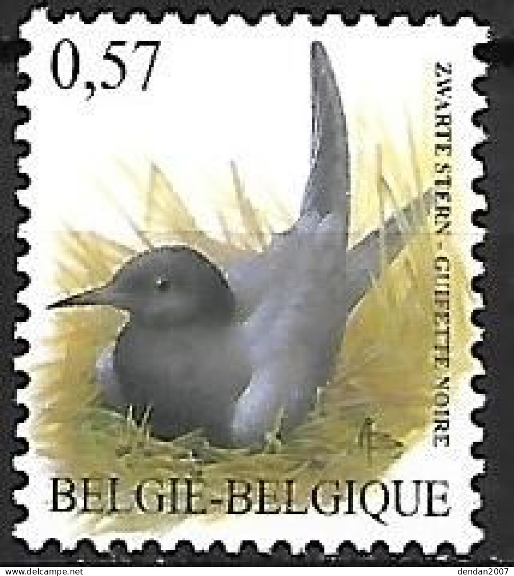 Belgium - MNH ** BUZIN - 2002 : Zwarte Stern - Black Tern  -  Chlidonias Niger - Meeuwen