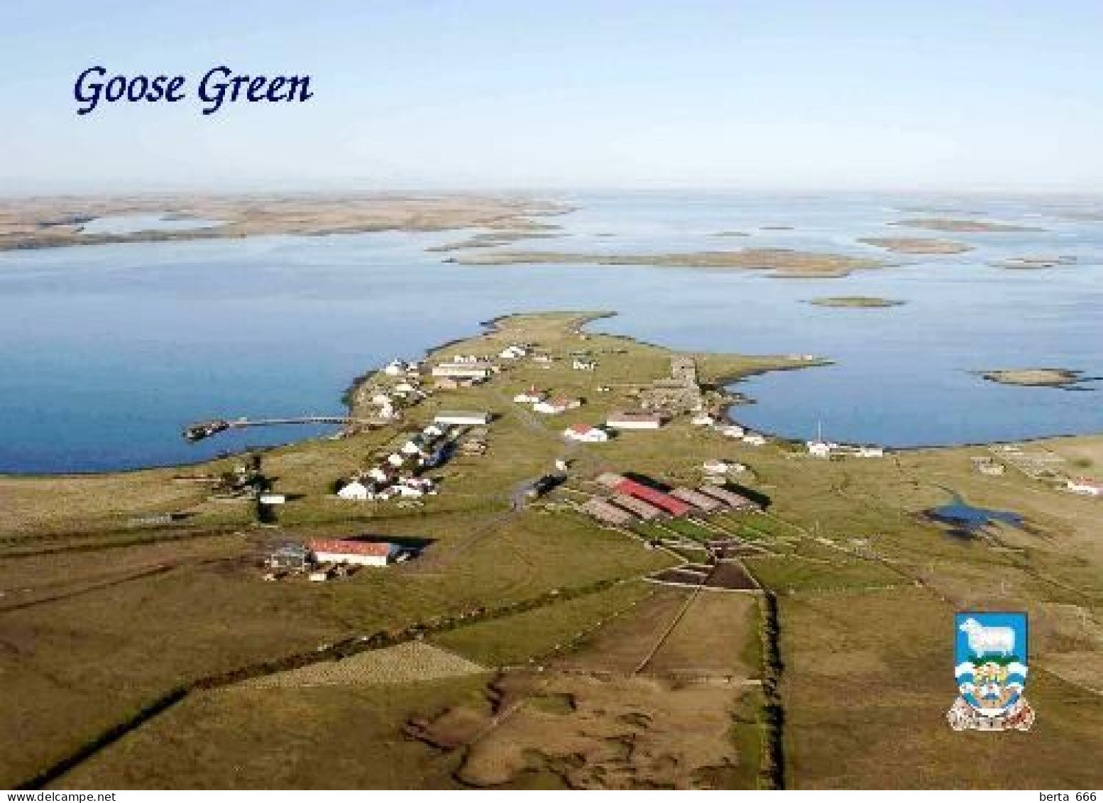 Falklands Islands Goose Green Malvinas New Postcard - Isole Falkland