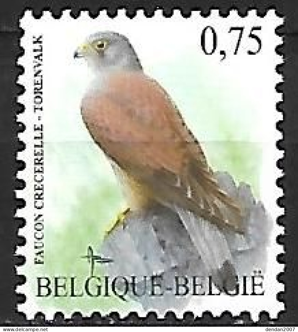 Belgium - MNH ** BUZIN - 2007 :  Torenvalk -  Common Kestrel  -  Falco Tinnunculus - Adler & Greifvögel