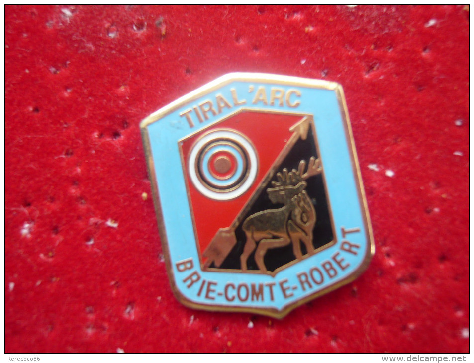 Pins  SPORT TIR A L ARC BRIE COMTE ROBERT - Archery