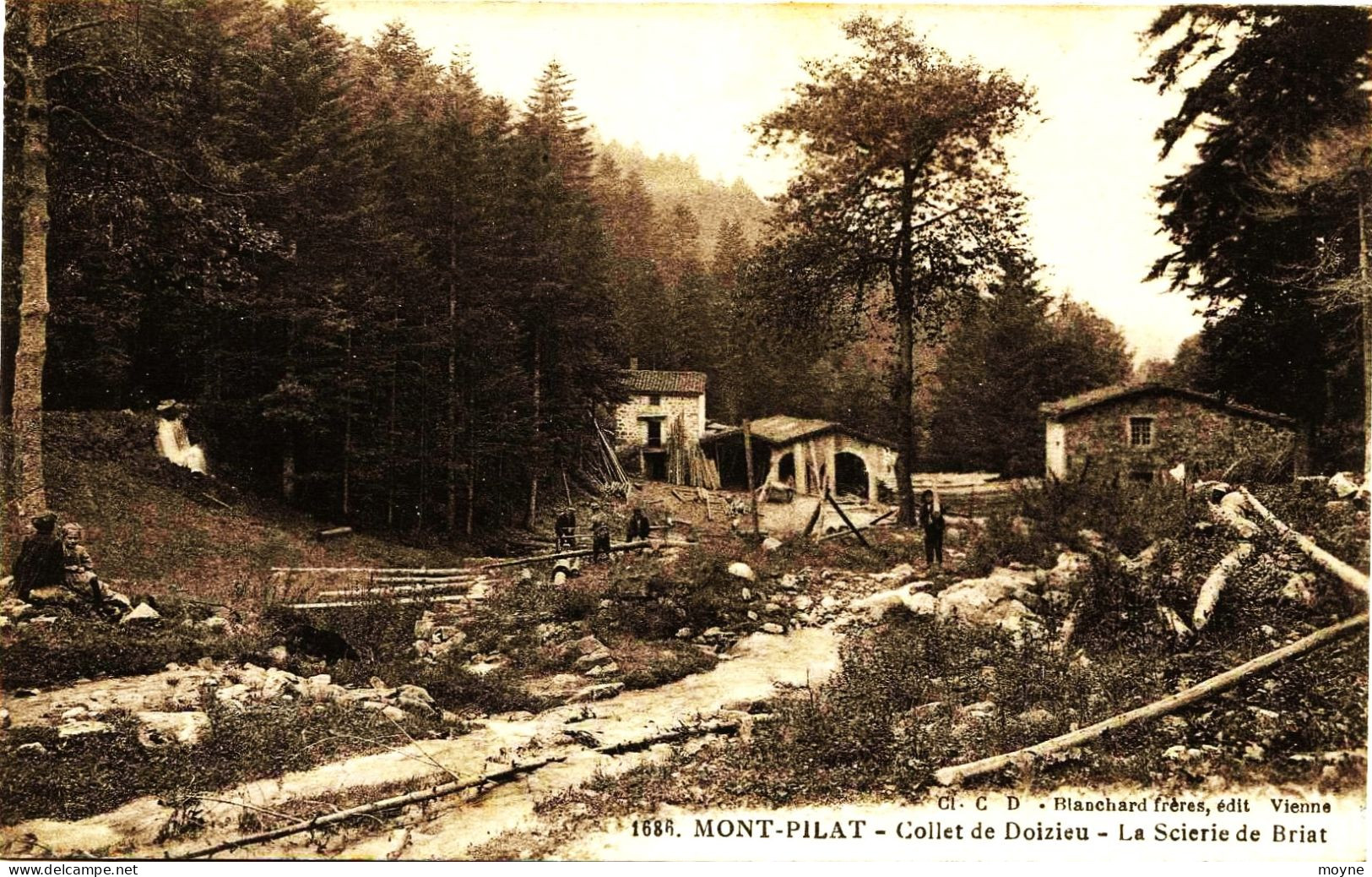 3121 -  Loire -   MONT - PILAT  :  SCIERIE  DE  BRIAT -  COLLET DE  DOLZIEU    Circulée - Mont Pilat