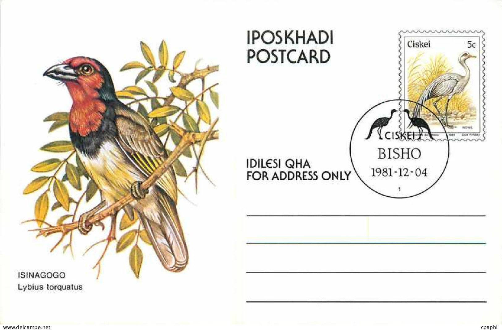Entier Postal Stationary Ciskei Oiseau 1981 - Ciskei