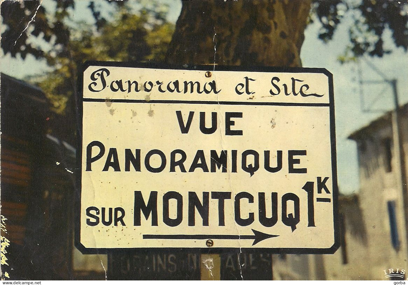 *CPM - 46 - MONTCUQ -  Panneau De Panorama - Montcuq