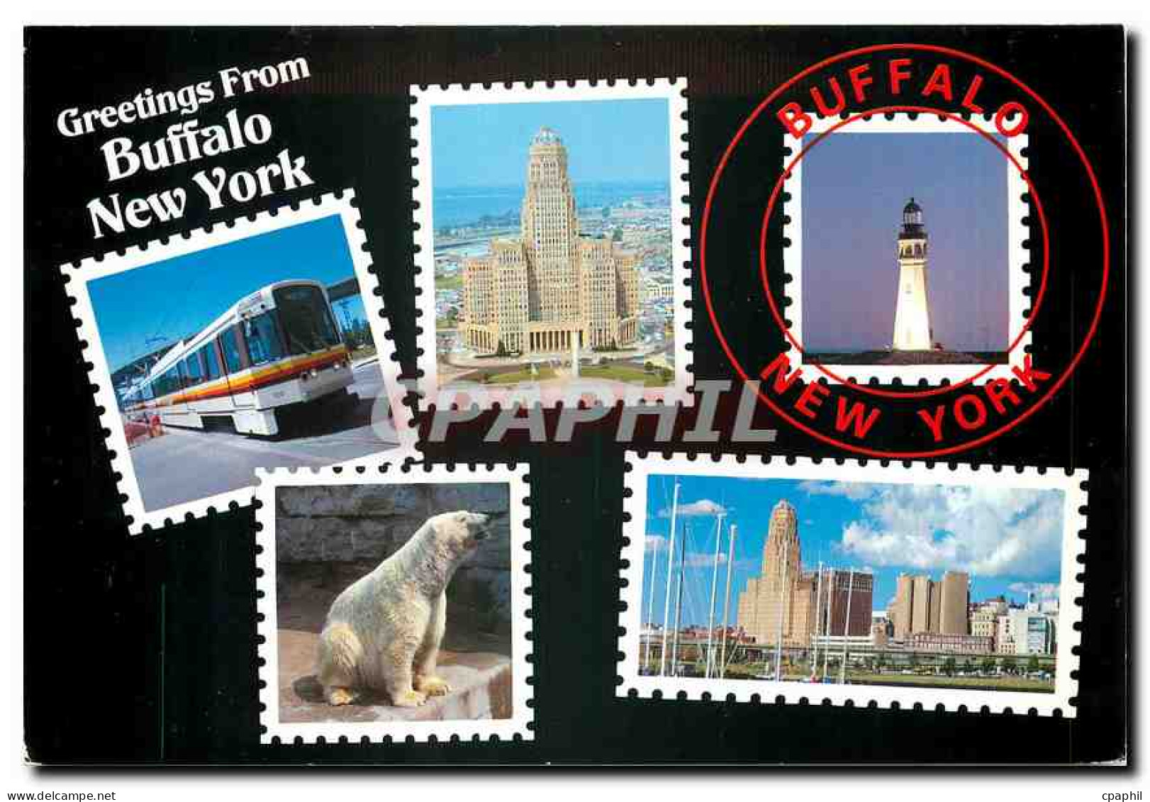 CPM Greetings From Buffalo New York Ours Blanc - Buffalo
