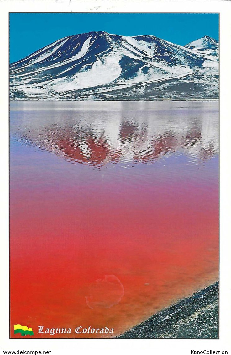 Bolivien, Laguna Colorada, Gelaufen - Bolivien