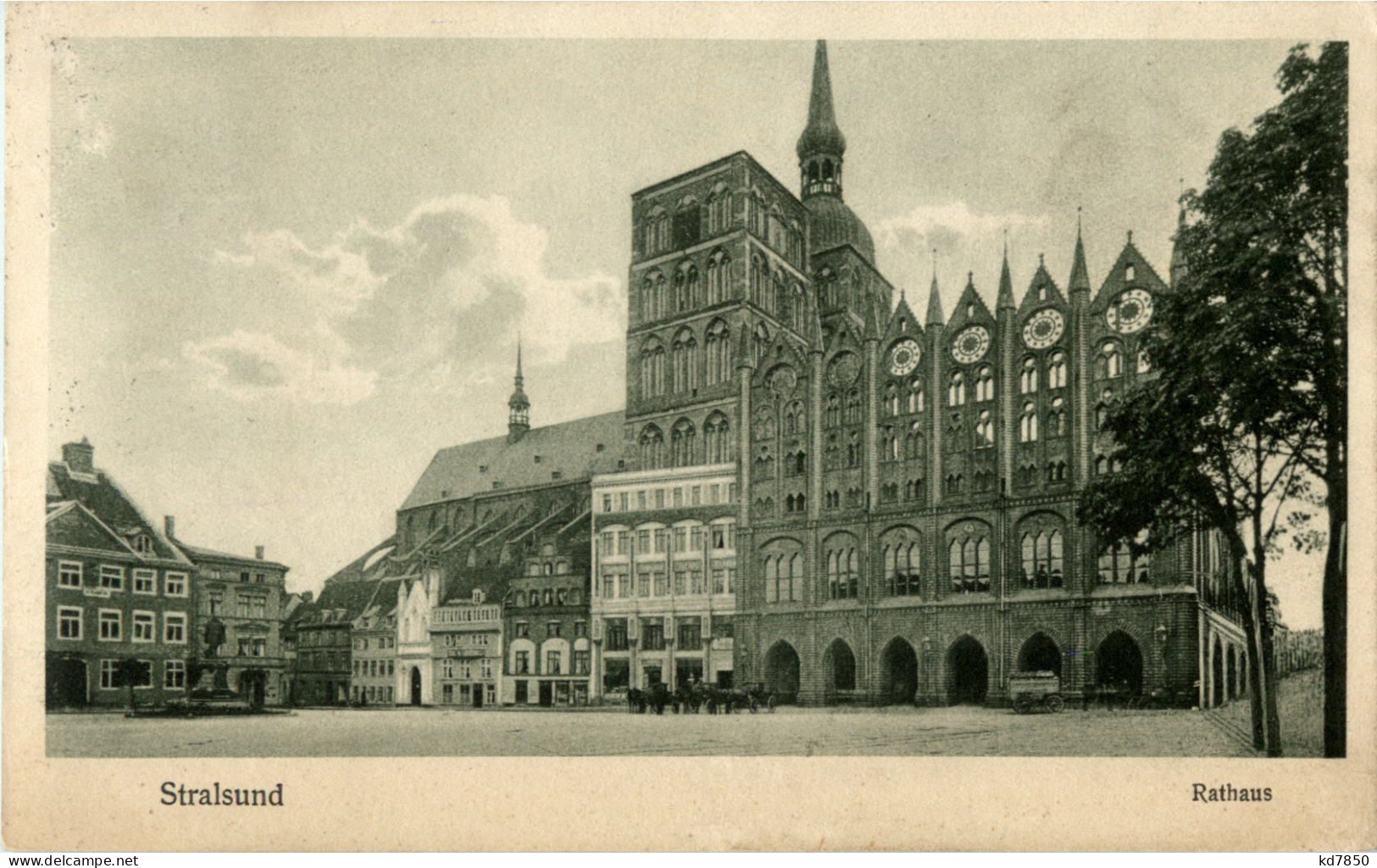 Stralsund - Rathaus - Stralsund