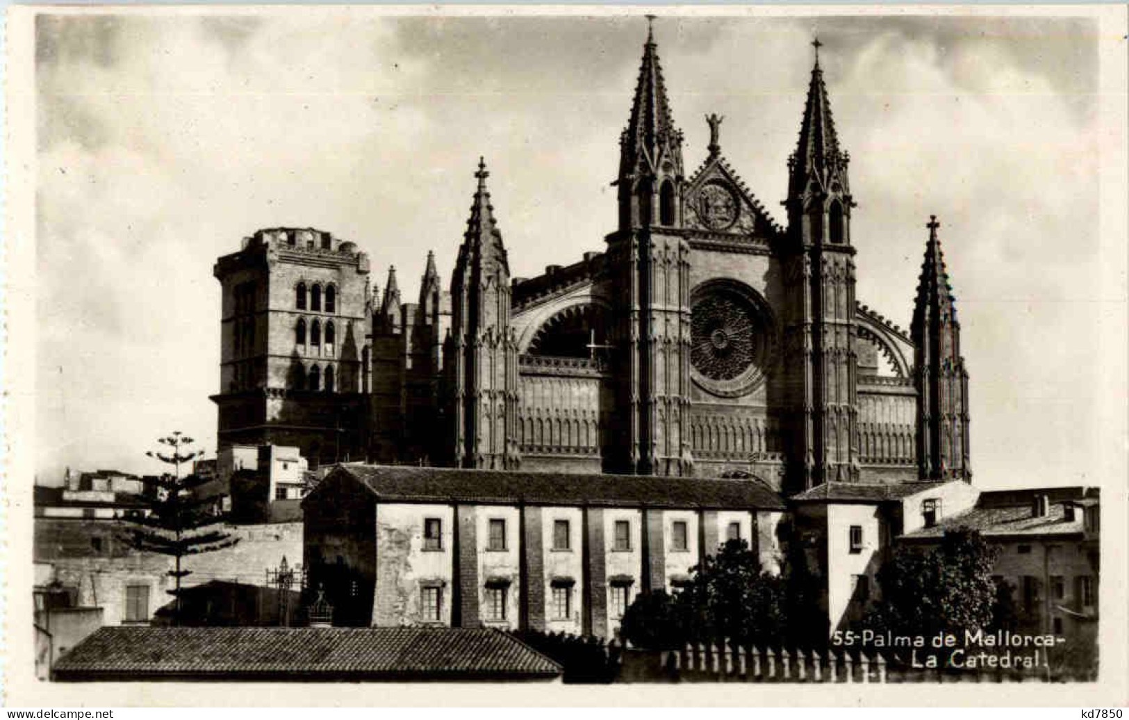 Palma De Mallorca - La Catedral - Palma De Mallorca