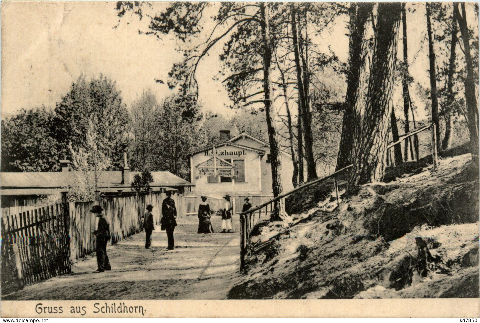 Berlin-Grunewald - Gruss Aus Schildhorn - Grunewald