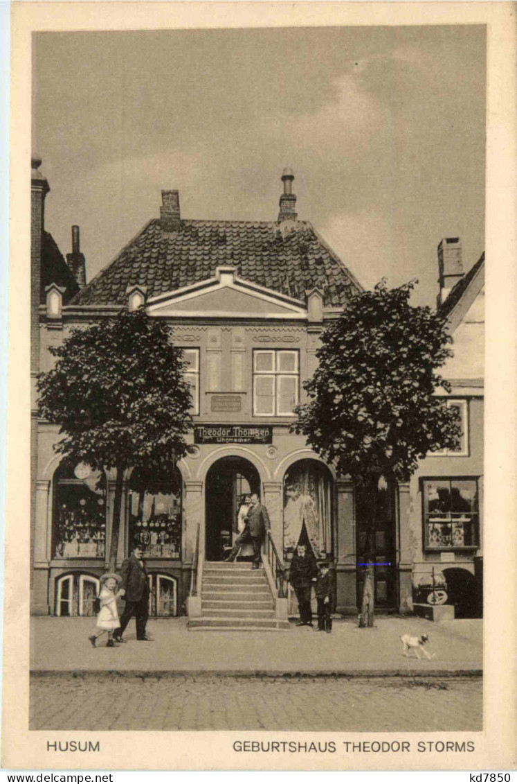 Husum - Geburtshaus Theodor Storms - Halligen