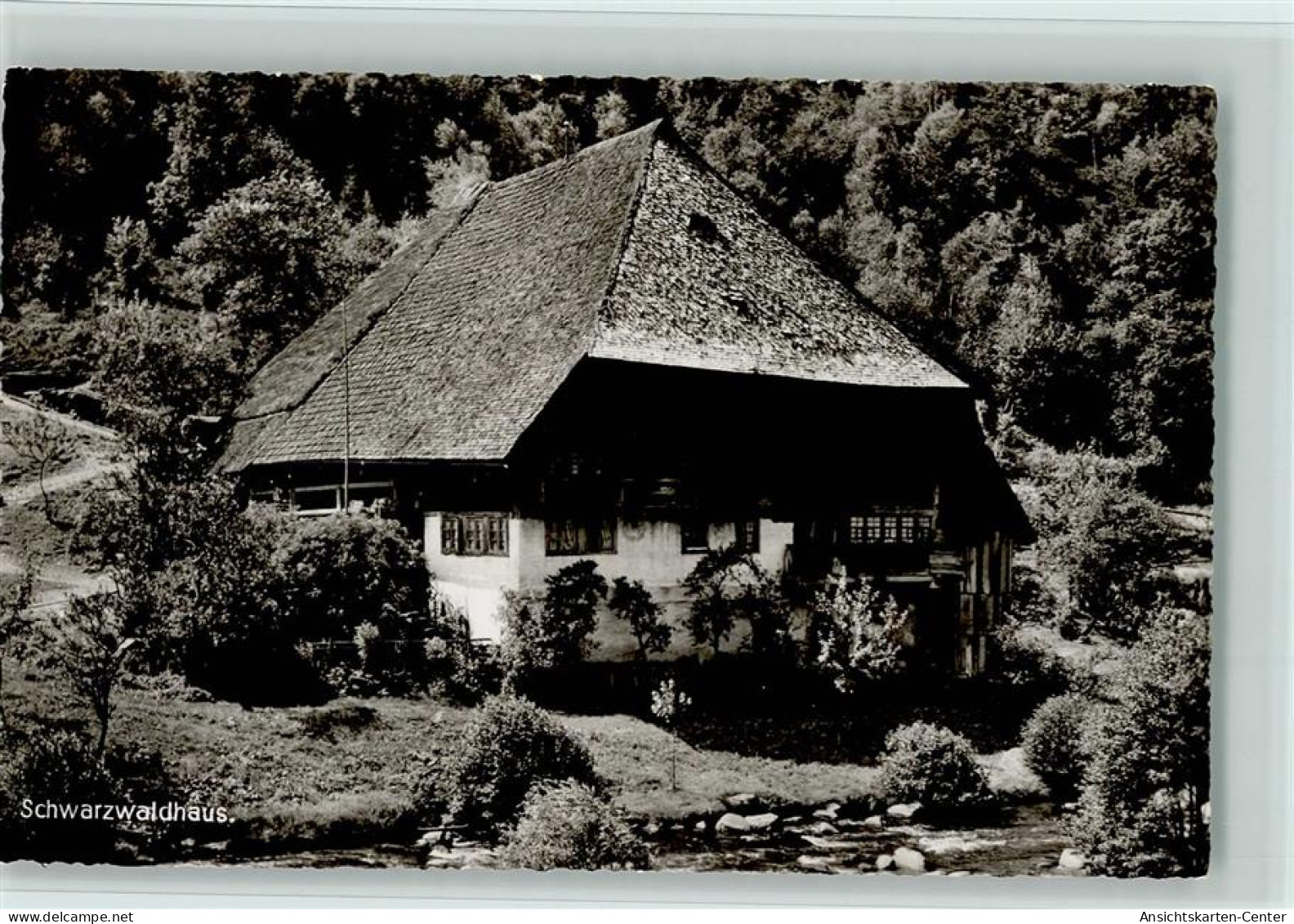 12073101 - Schwarzwald Haeuser Foto  Ca 1955 AK - Hochschwarzwald