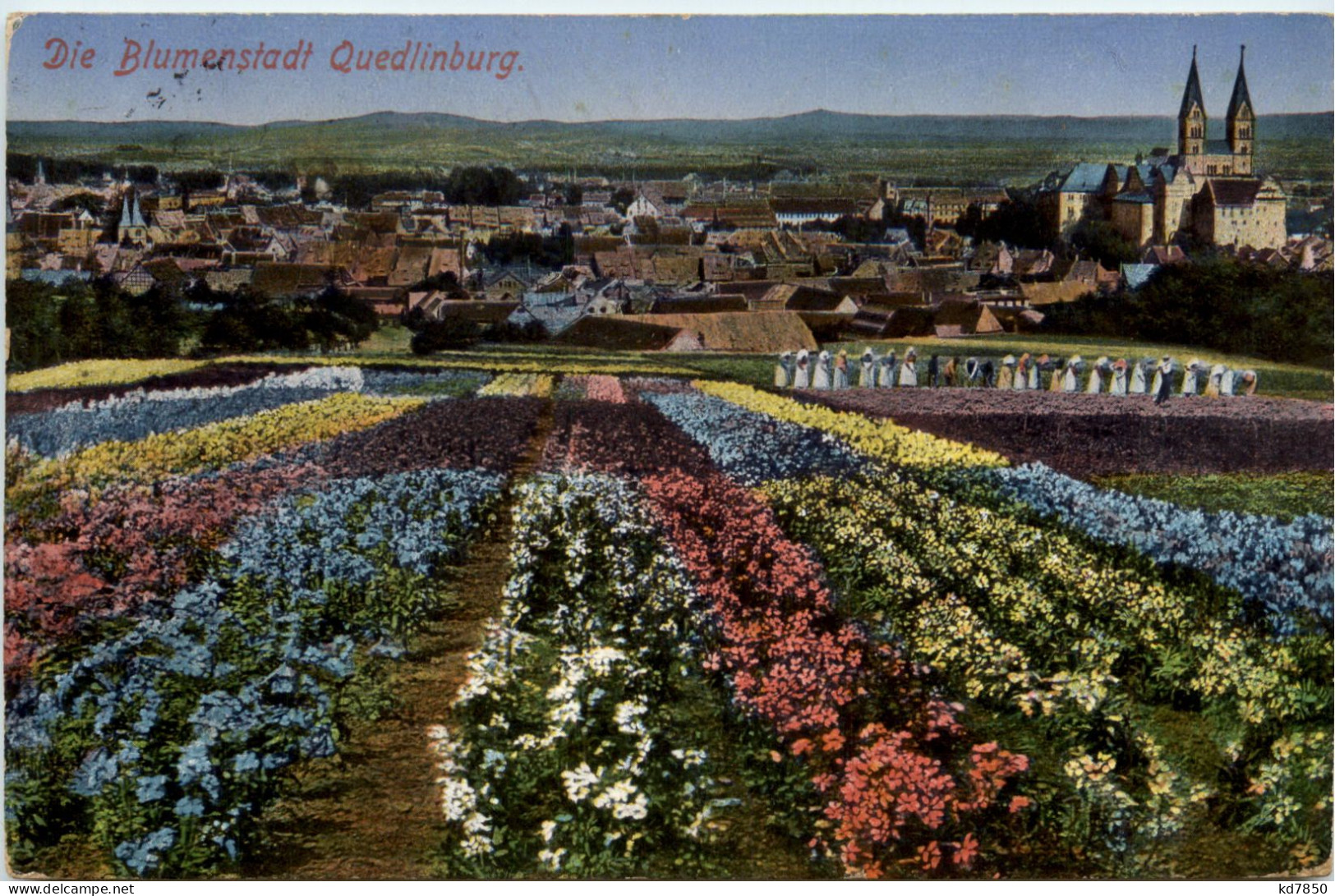 Blumenstadt Quedlinburg - Quedlinburg