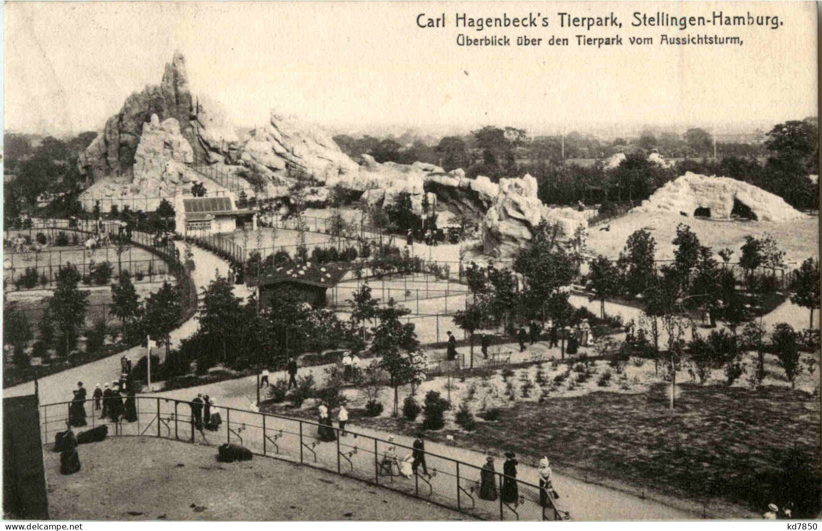 Carl Hagenbecks Tierpark Stellingen - Polarbear - Stellingen