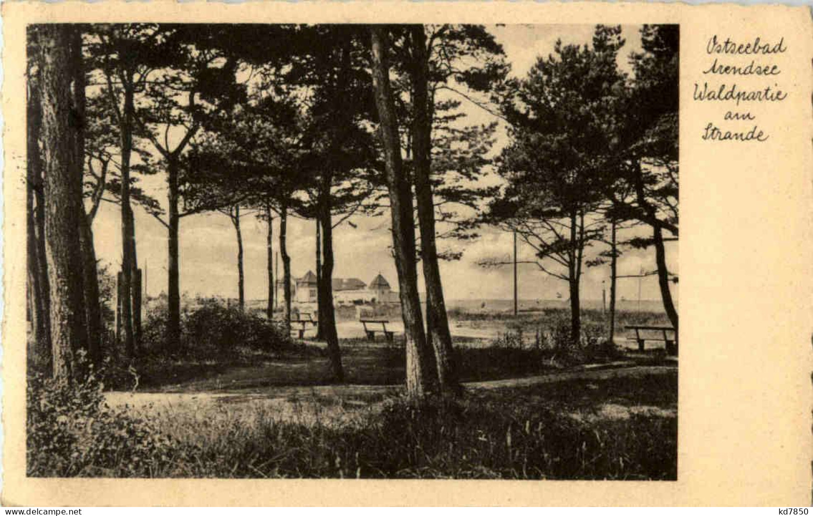 Ostseebad Arendsee - Waldpartie Am Stande - Kuehlungsborn