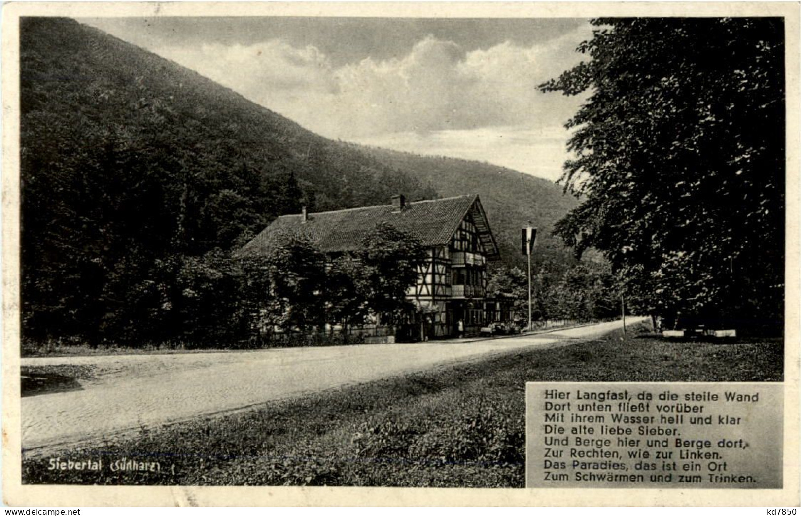 Wald-Hotel Zum Paradies - Siebertal - Südharz - Goettingen