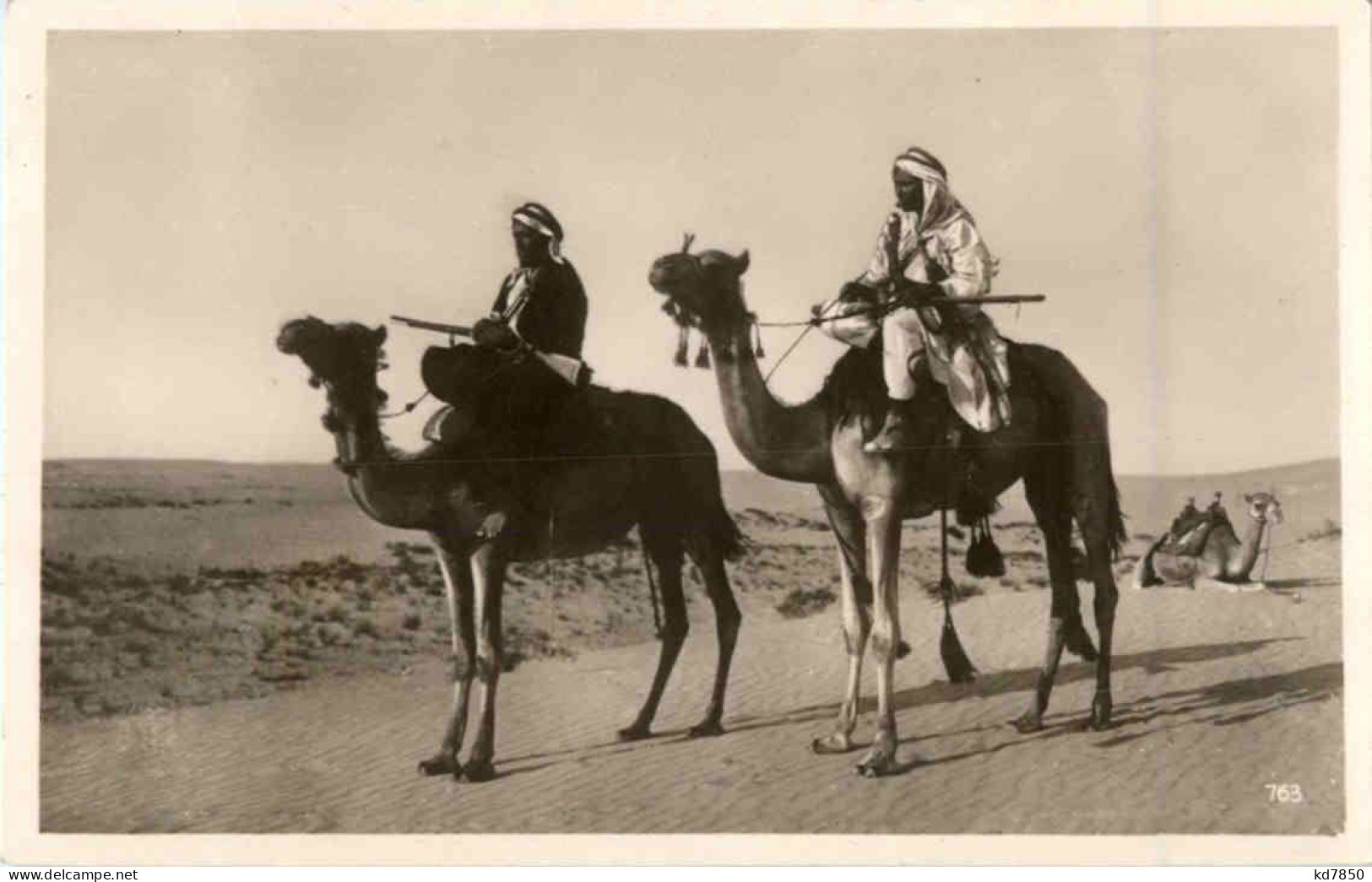 Beduinen Auf Kamel - Personen