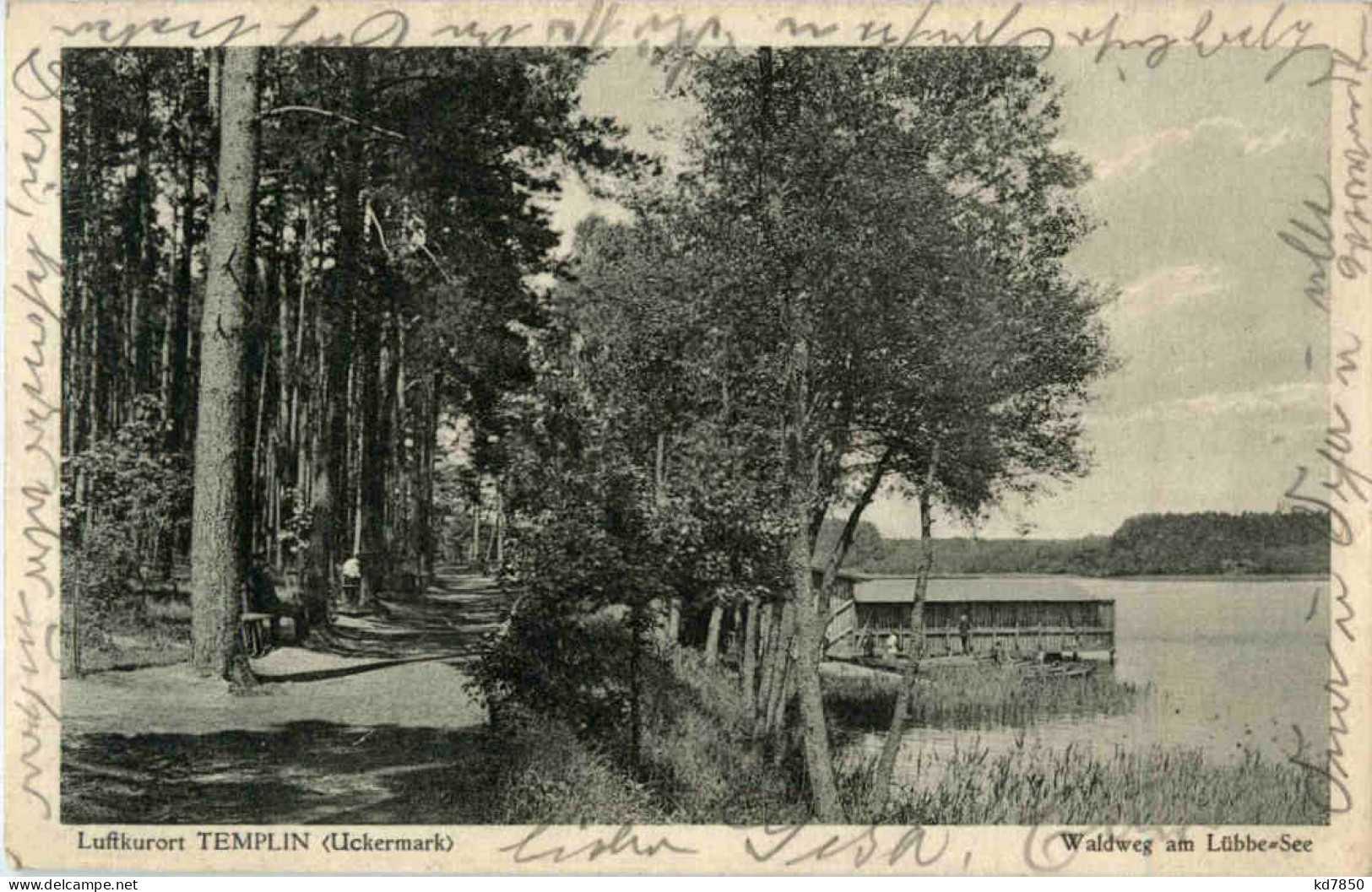 Templin - Waldweg Am Lübbe-See - Templin