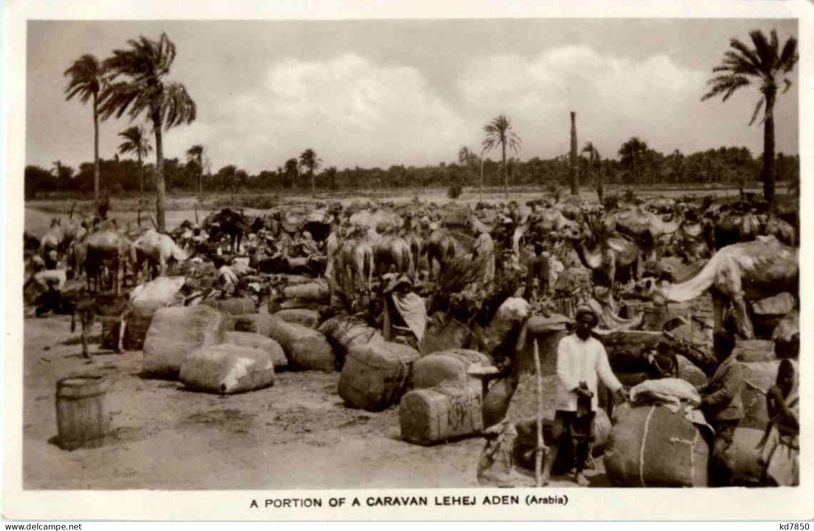 Aden - Caravan Lehej - Jemen - Jemen