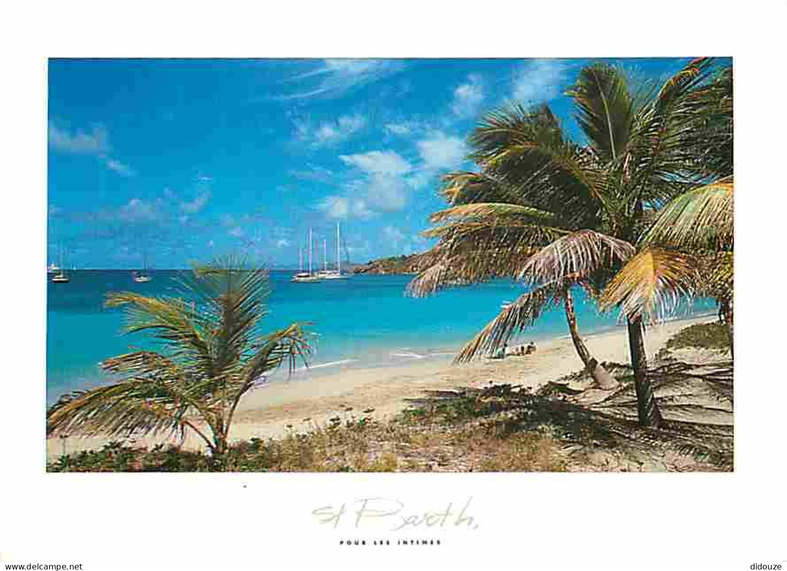 Guadeloupe - Saint Barthelemy - Colombier - CPM - Voir Scans Recto-Verso - Saint Barthelemy