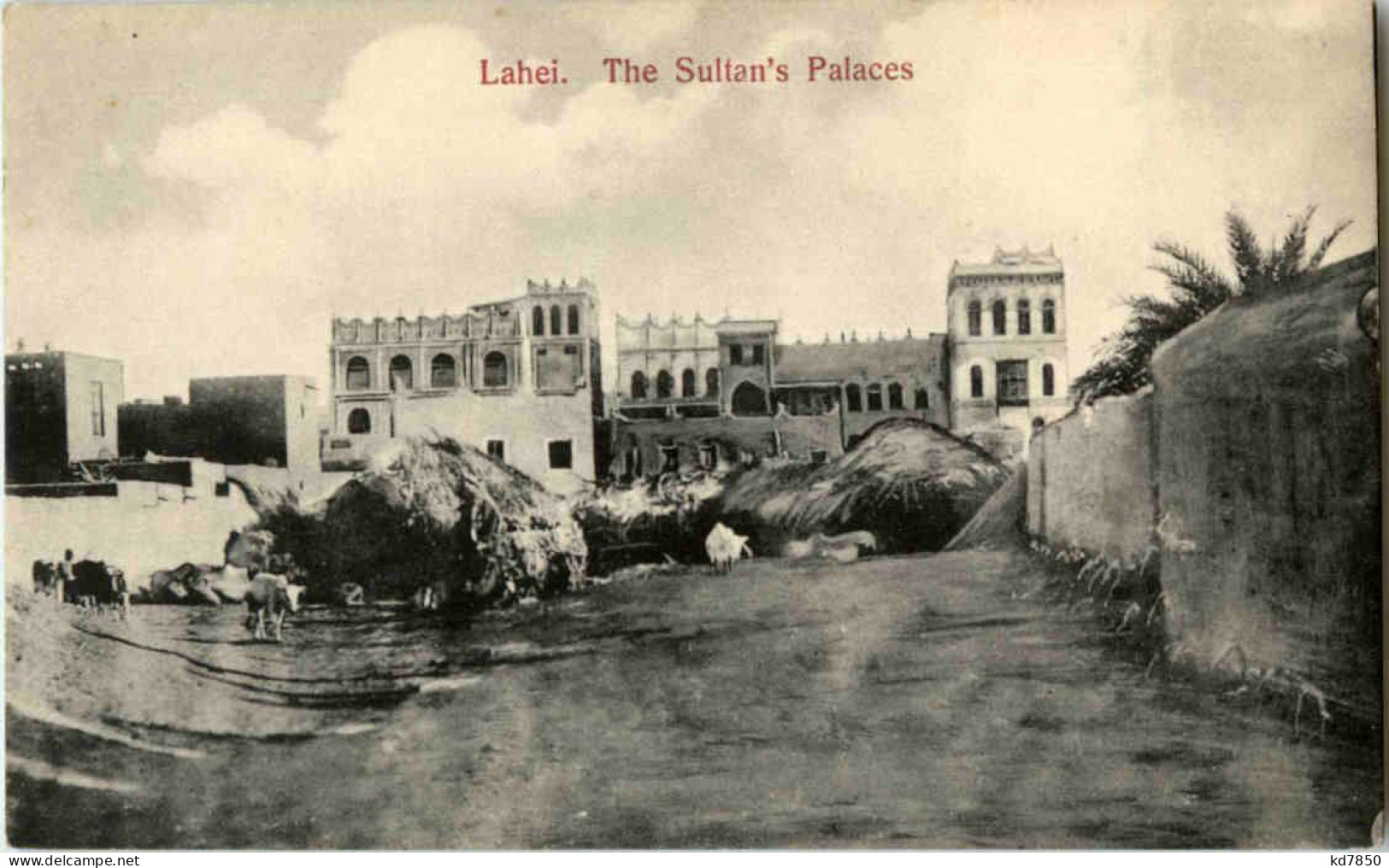 Lahei - The Sultans Palaces - Jemen - Jemen