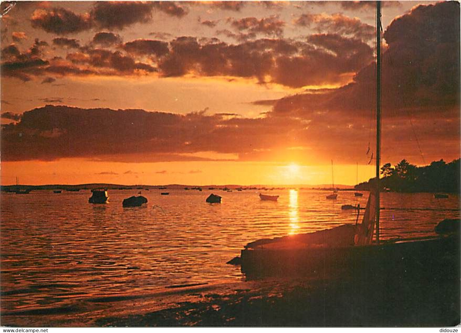 Coucher De Soleil - CPM - Voir Scans Recto-Verso - Controluce