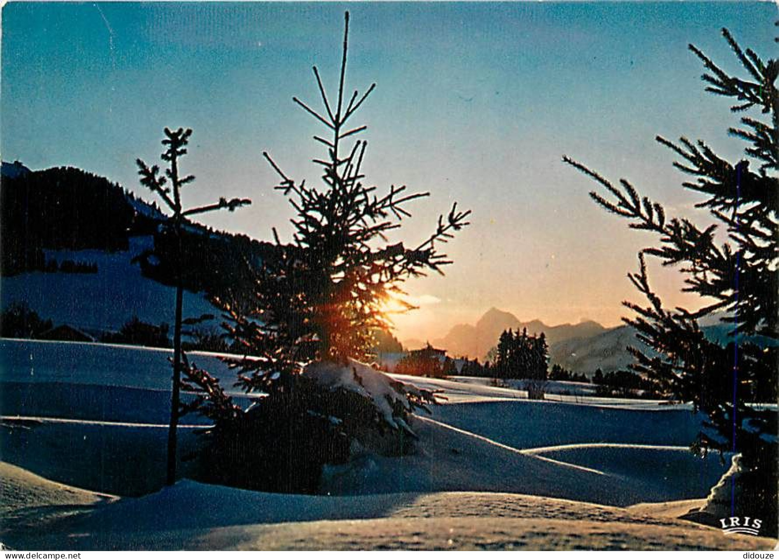 Coucher De Soleil - CPM - Voir Scans Recto-Verso - Controluce