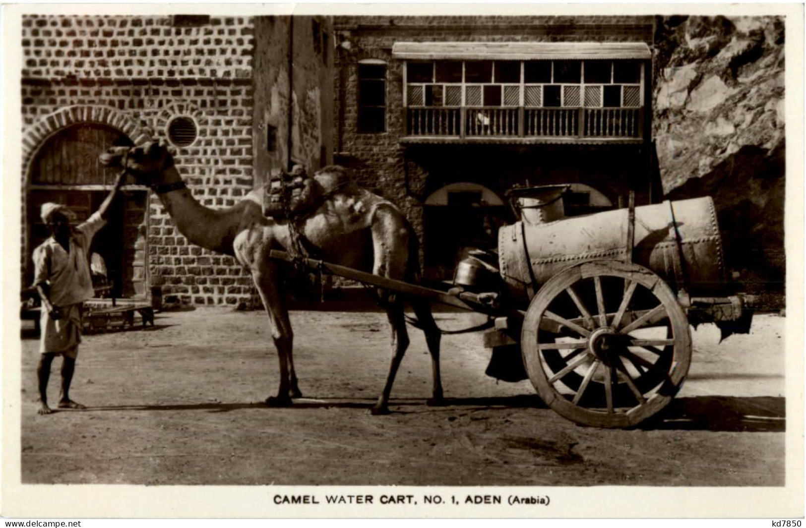 Aden - Camel Water Cart - Jemen - Yemen