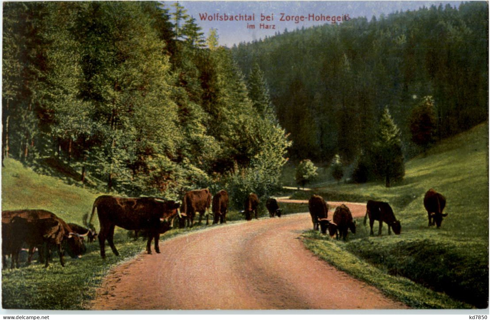 Wolfsbachtal Bei Zorge-Hohegeiss - Goettingen