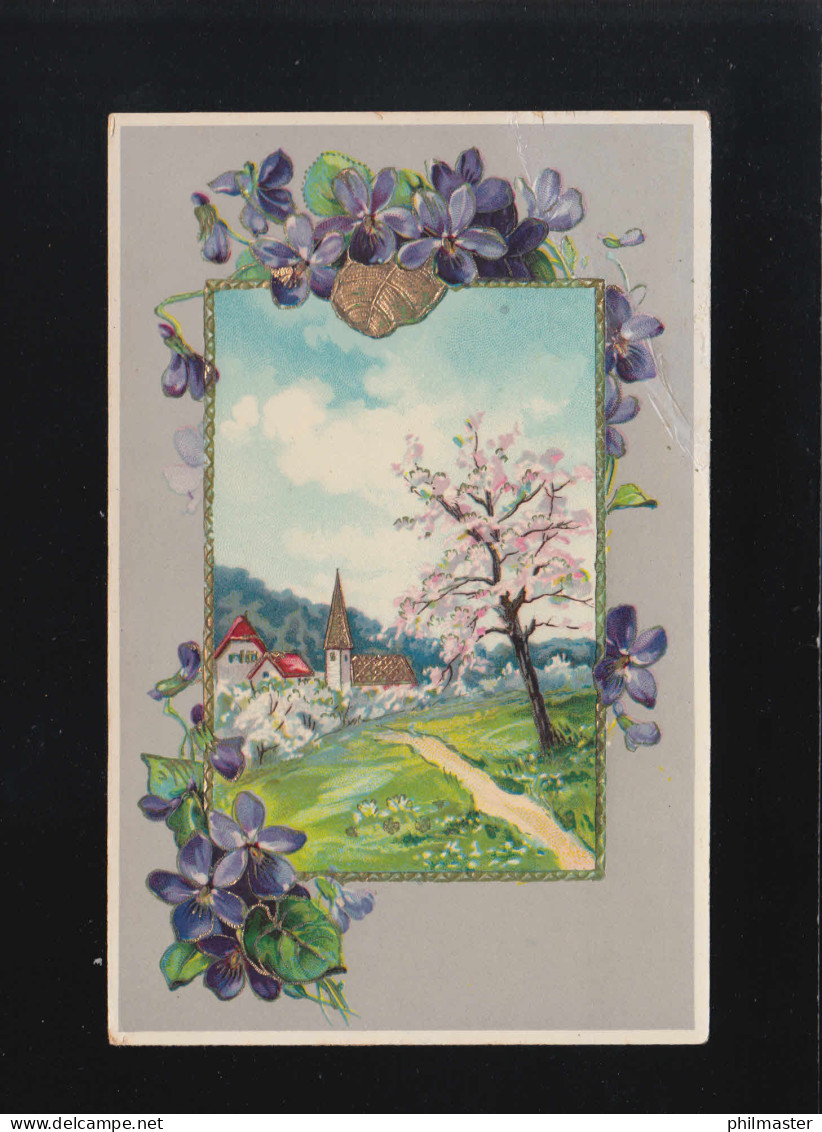 Dorf Und Kirche Blühende Bäume Idylle, Umrahmt Von Veilchen, Tann 6.4.1911 - Controluce