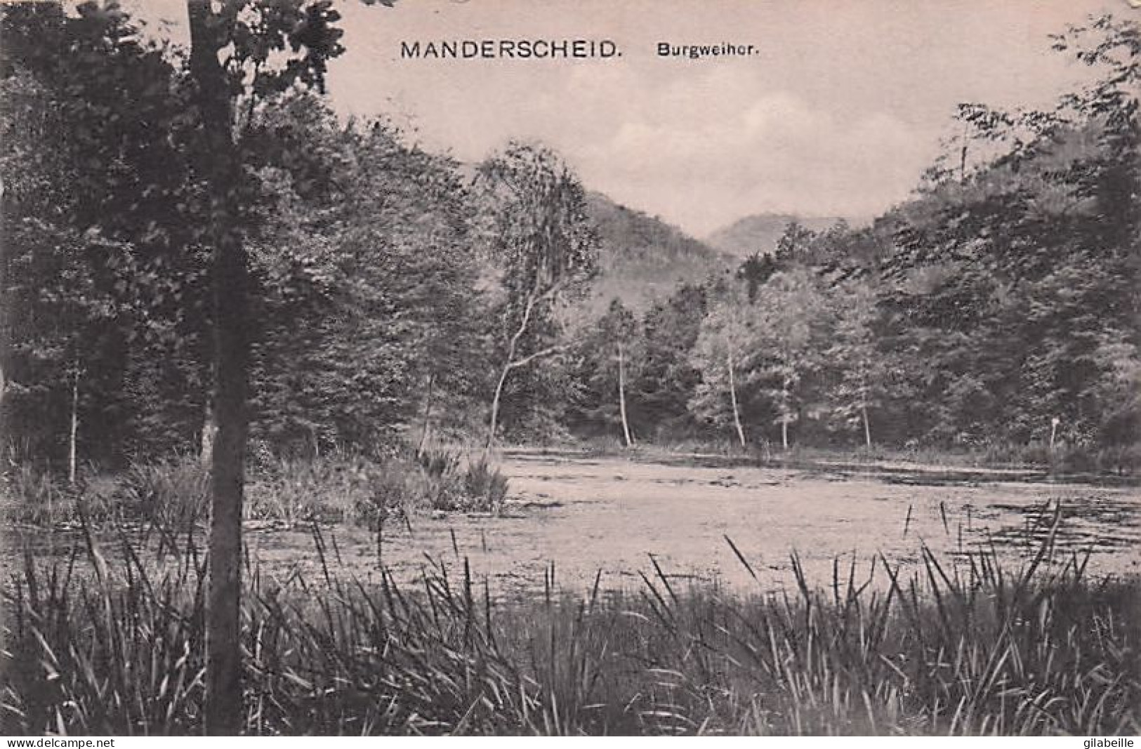 MANDERSCHEID ( Eifel  ) - Burgweiher - 1913 - Manderscheid