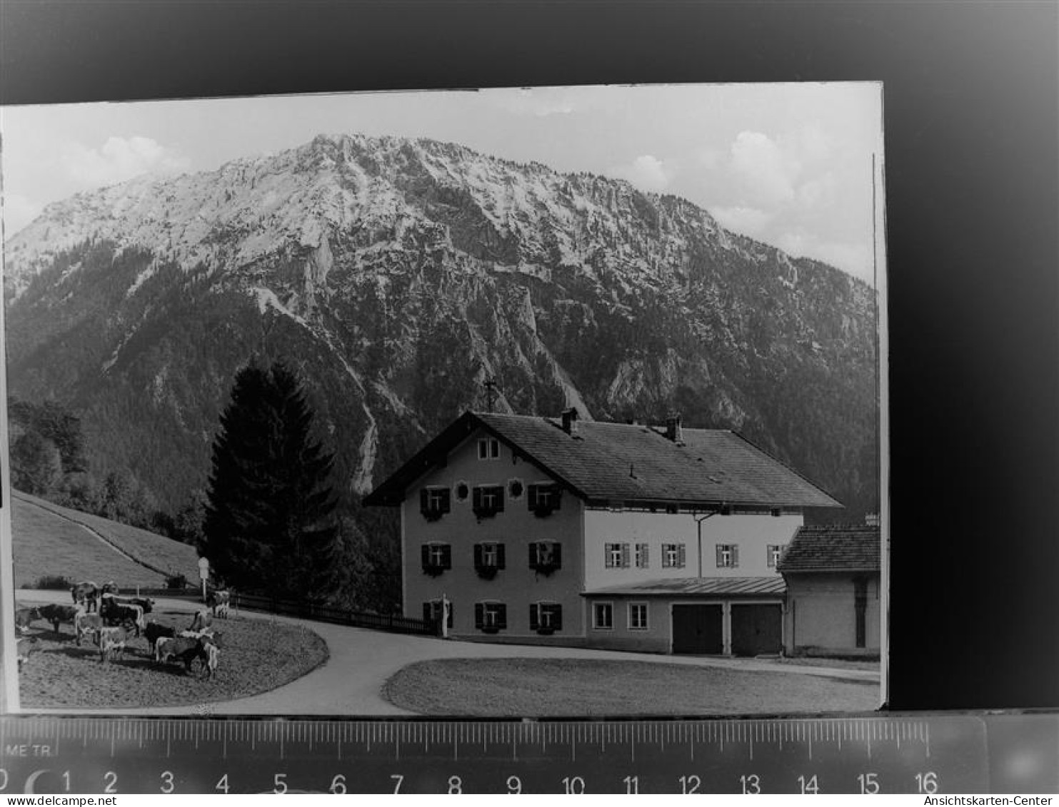 30086601 - Ruhpolding - Ruhpolding