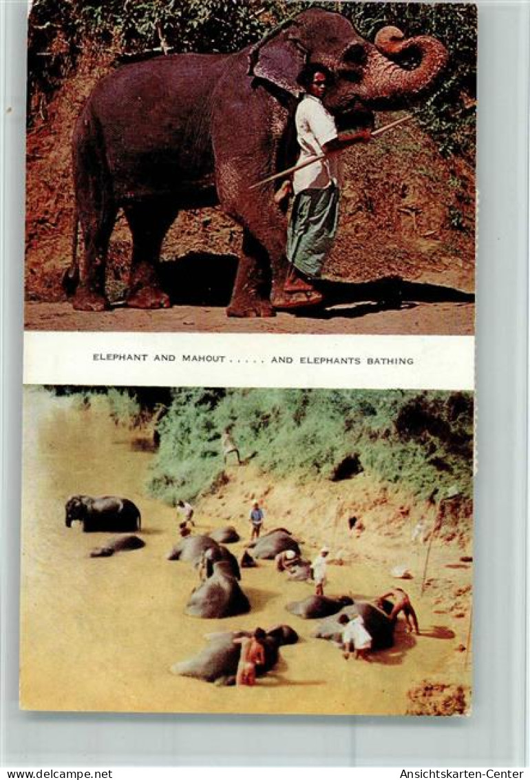 10519001 - Elefanten Elephant And Mahout Bathing - - Éléphants