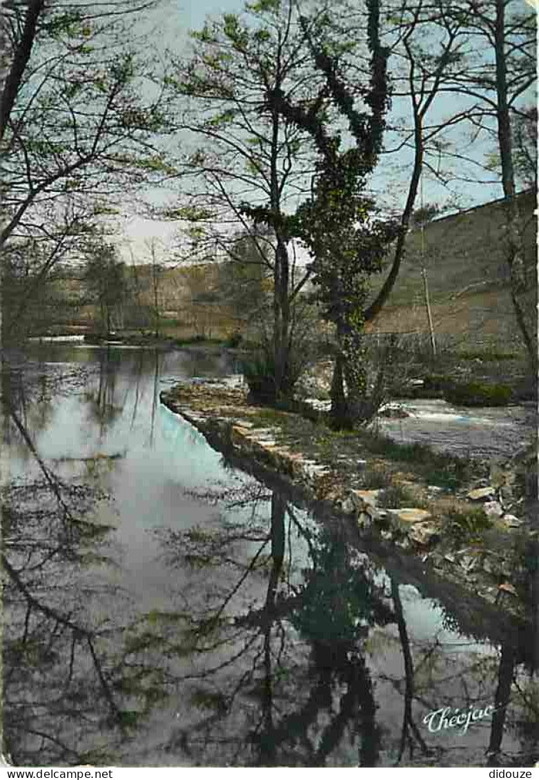 87 - Chateauneuf La Foret - La Combade Aux Environs De Châteauneuf La Foret - CPM - Voir Scans Recto-Verso - Chateauneuf La Foret