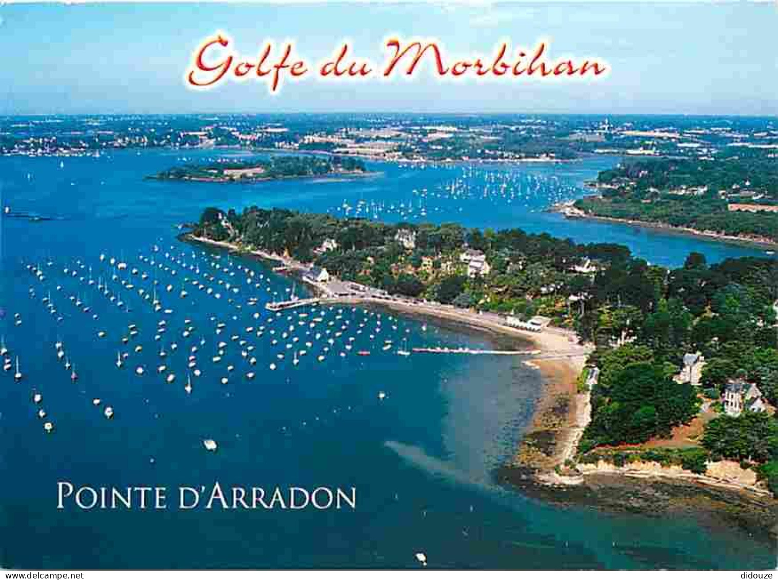 56 - Arradon - La Pointe D'Arradon - Superbe Belvédère Ombragé Sur Le Golfe Du Morbihan - Vue Aérienne - CPM - Voir Scan - Arradon
