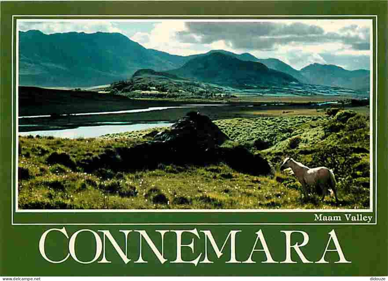 Irlande - Galway - Connemara - Maam Valley - Chevaux - CPM - Voir Scans Recto-Verso - Galway