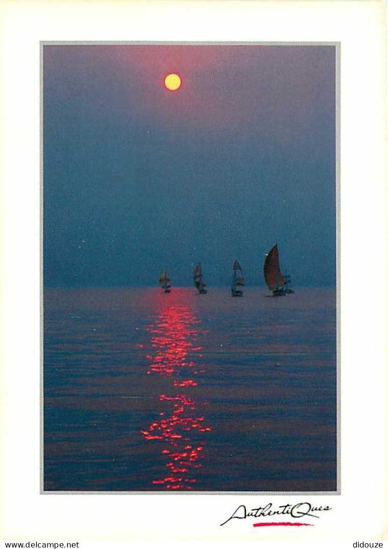 Coucher De Soleil - CPM - Voir Scans Recto-Verso - Controluce