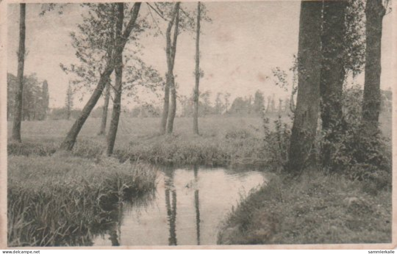 8252 - Bach Im Wald - 1919 - Landkarten