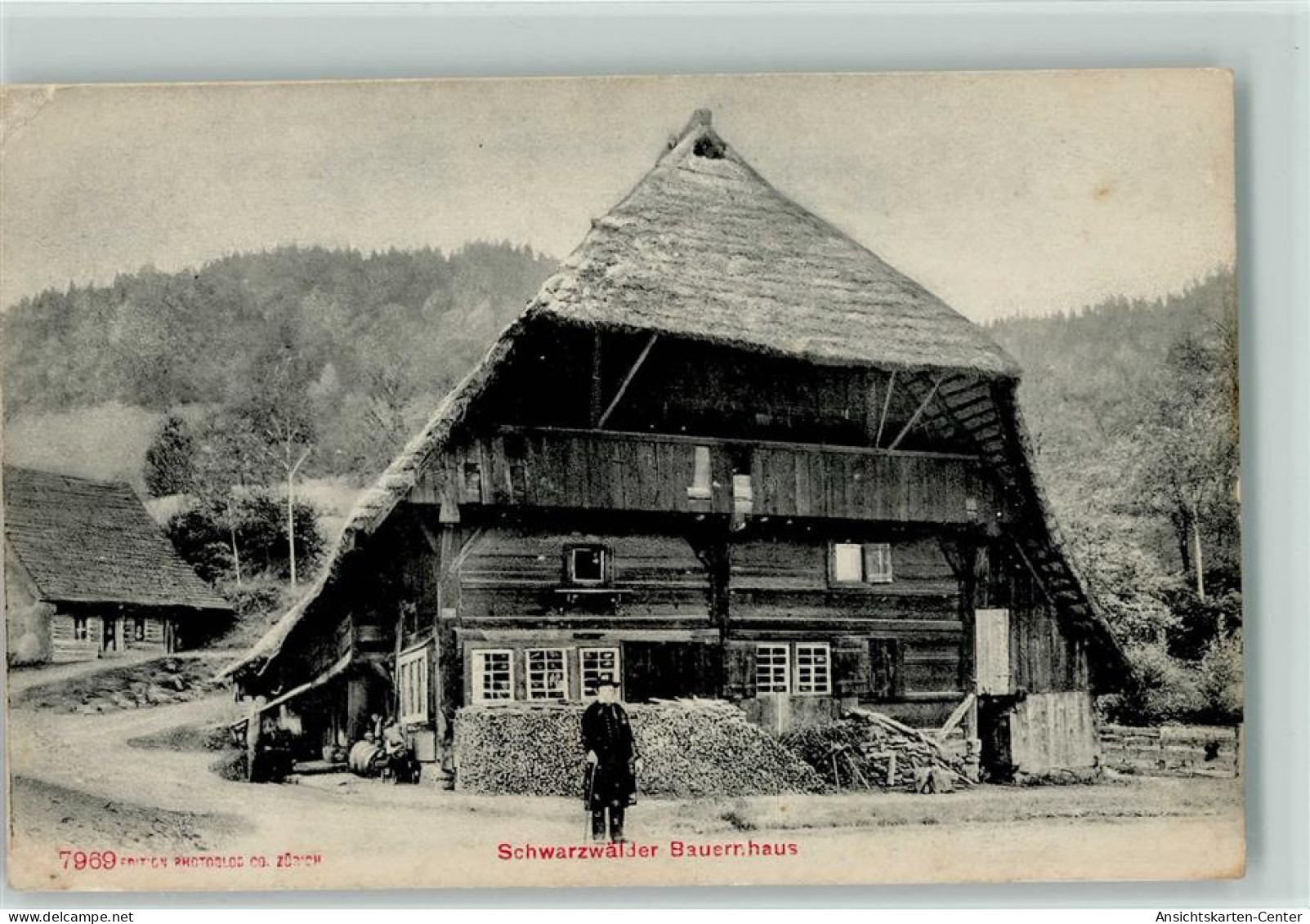 12038801 - Schwarzwald Haeuser Bauer - Hochschwarzwald