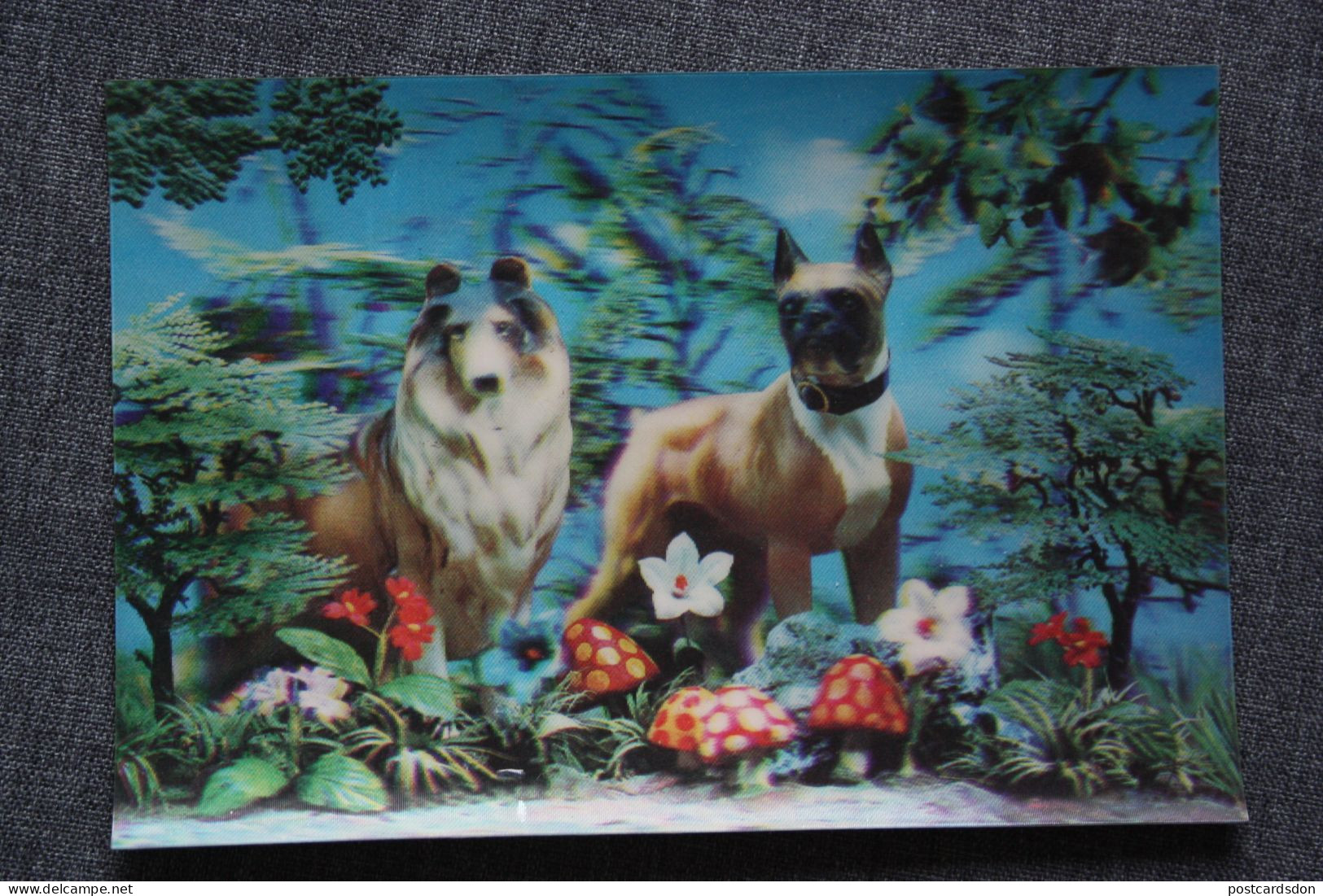 LENTICULAR  Postcard - Collie, Boxer Dog. STEREO 3D - Mushroom - Stereoskopie