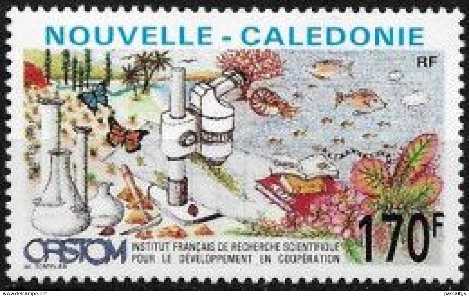Nouvelle Calédonie - 1990 - N°616 ** - Unused Stamps