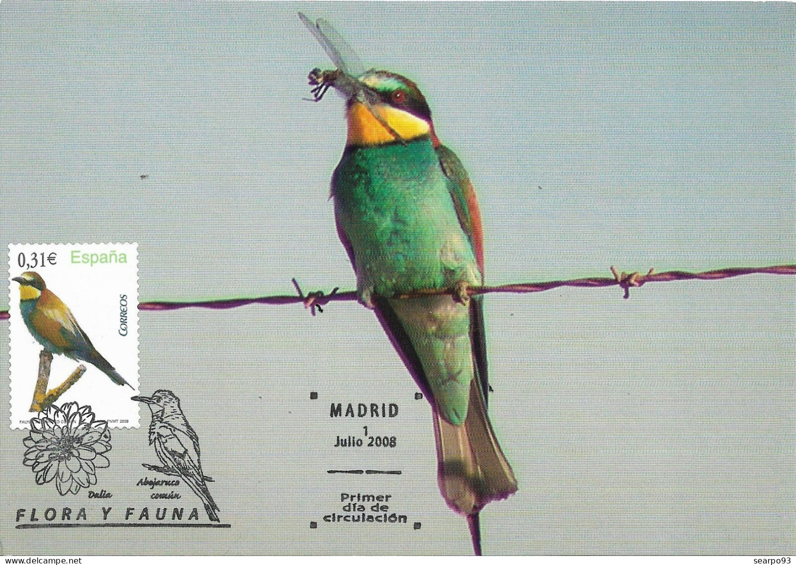 SPAIN. MAXICARD FIRST DAY. COMMON BEE-EATER. BIRD. 2008 - Cartoline Maximum