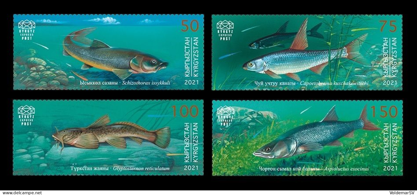 Kyrgyzstan (KEP) 2021 Mih. 166/69 Fauna. Fishes MNH ** - Kirgisistan