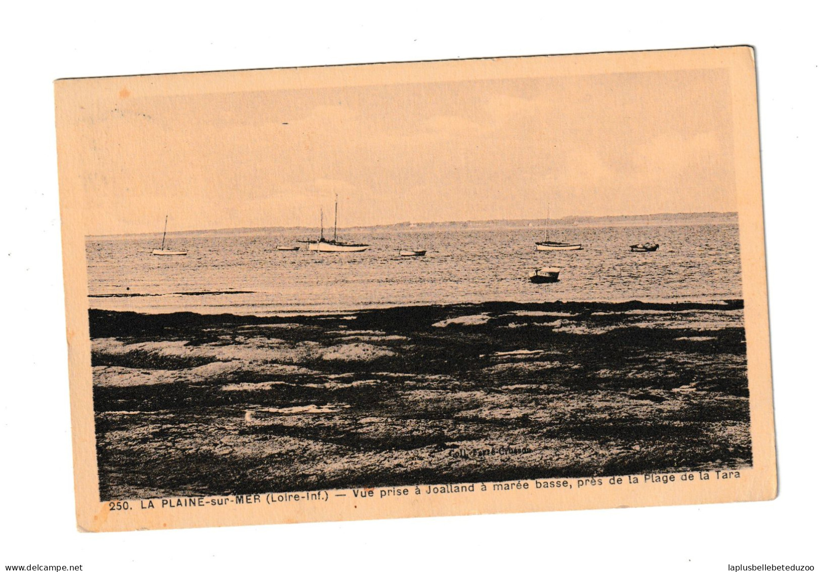 CPA - 44 - LA PLAINE SUR MER - Vue Prise à JOALLAND à Marée Basse Près De La Plage De TARA - Vers 1947 - La-Plaine-sur-Mer