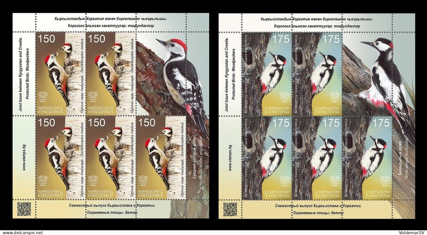 Kyrgyzstan (KEP) 2021 Mih. 177/78 Fauna. Birds. Woodpeckers (2 M/S) (joint Issue Kyrgyzstan-Croatia) MNH ** - Kyrgyzstan